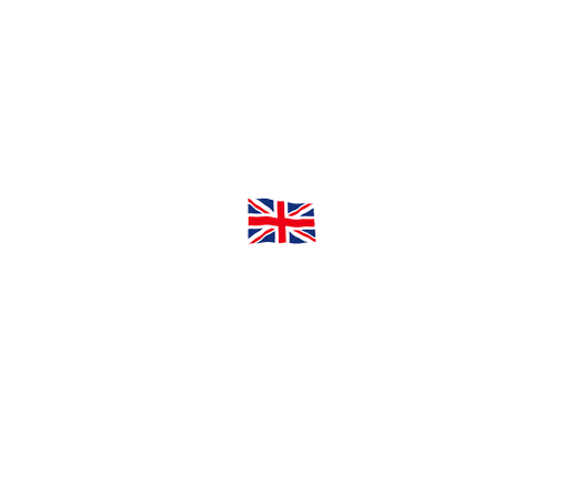 britsh army logo